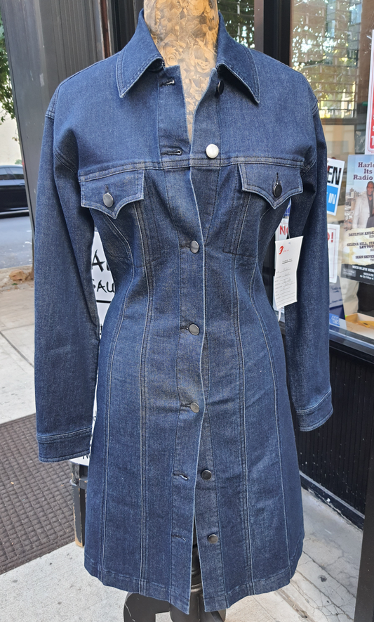 button front dress, my favorite denim dress fits great, blue wash, pockets, dress with pockets
